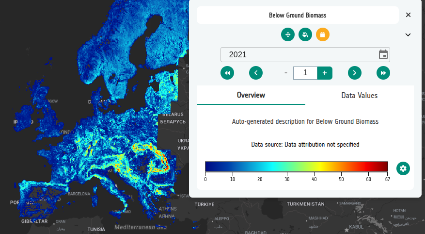 Below Ground Biomass preview with yearly temporal control